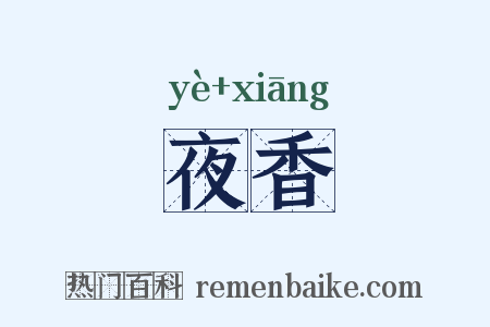 夜香是什么意思的图片